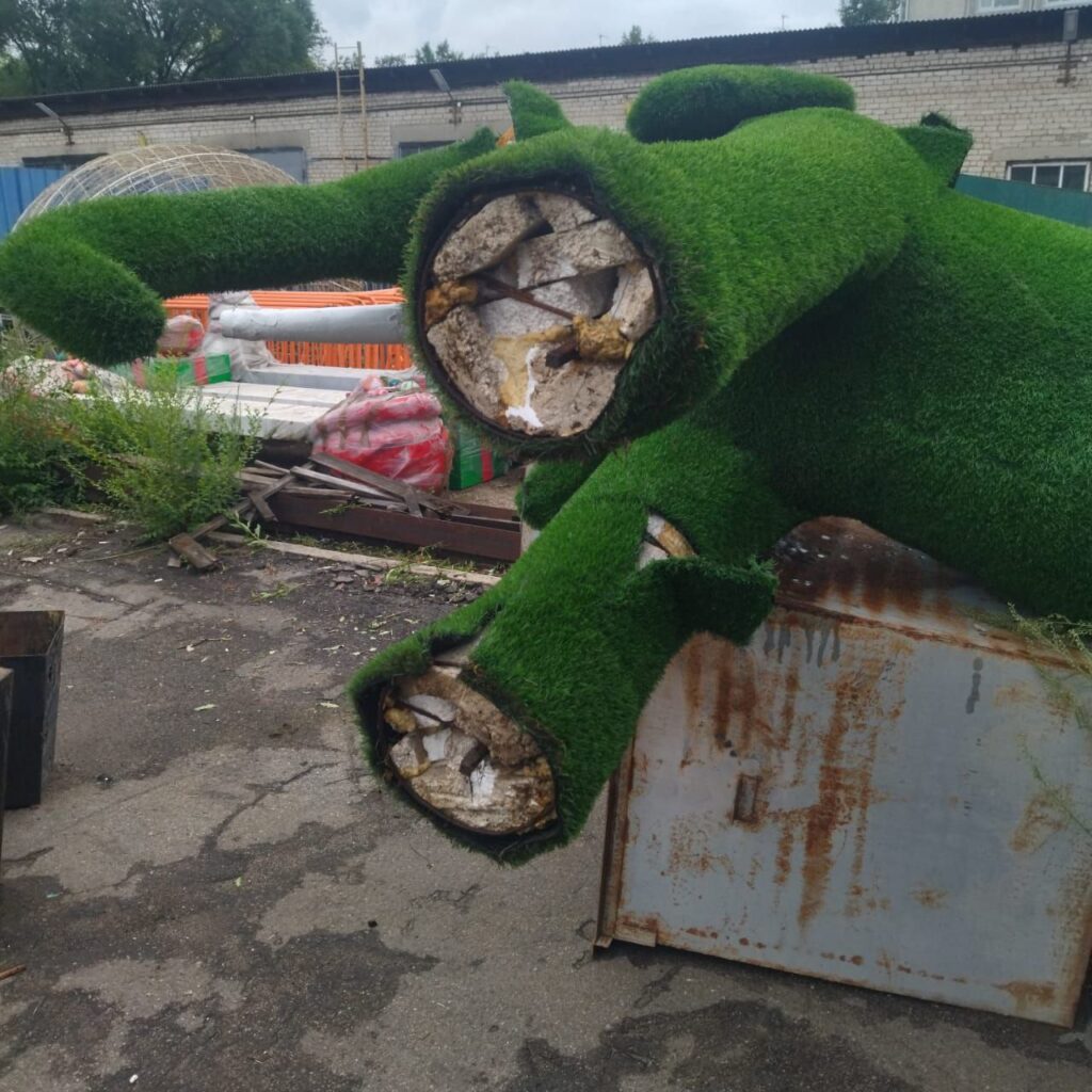 Фото: мэрия Благовещенска