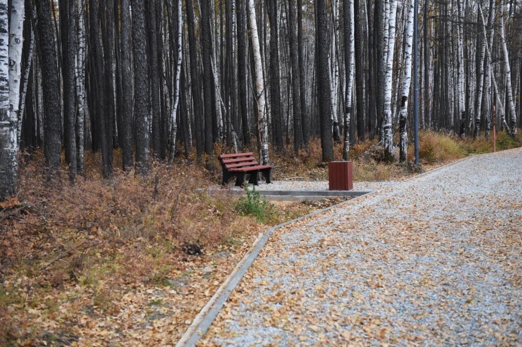 правительство Амурской области