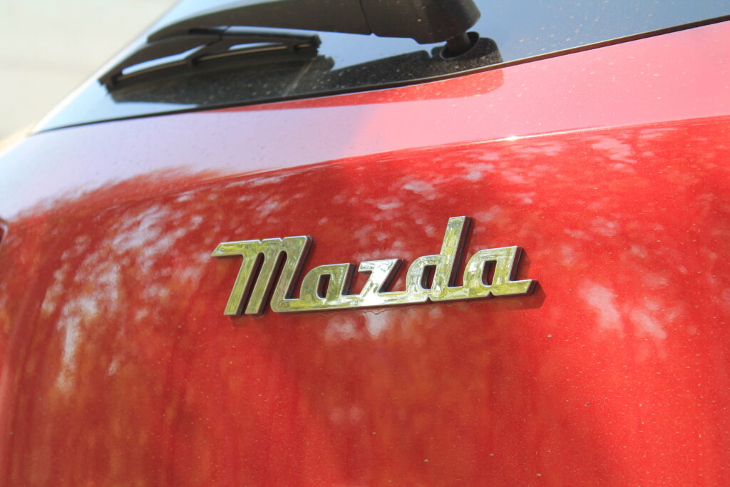 Платить не надо! Кто не получит налоговые уведомления в этом году