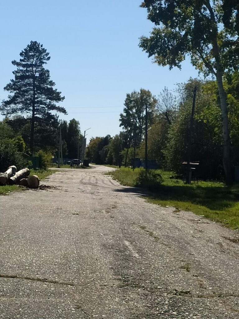 «Красный орёл»: улица в честь Гавриила Воронова в селе Поярково