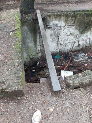 Фото: Амур.инфо