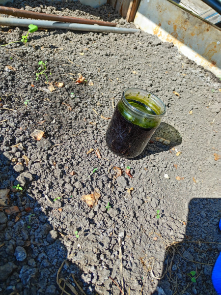 Специфический тайник нашли амурские полицейские в подлокотнике дивана