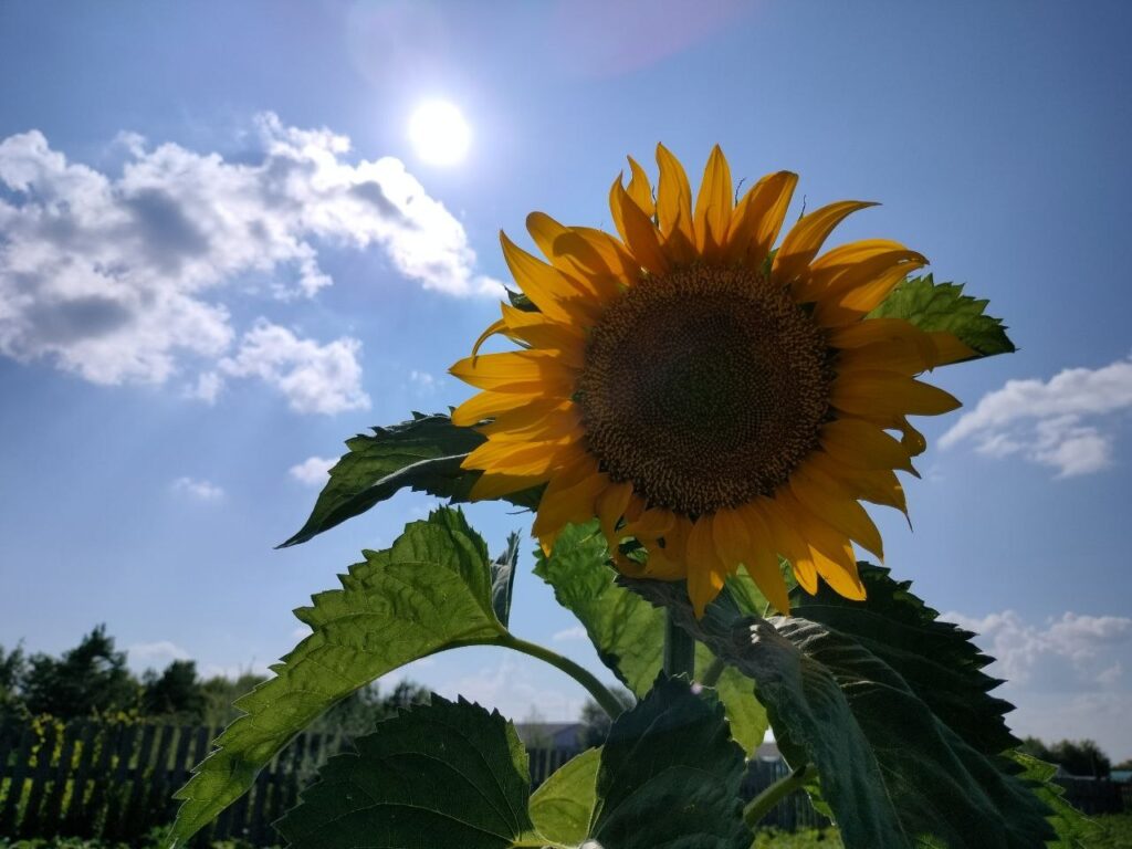 Солнце опасно, не все родинки – безвредны: амурчанам рассказали о раке кожи