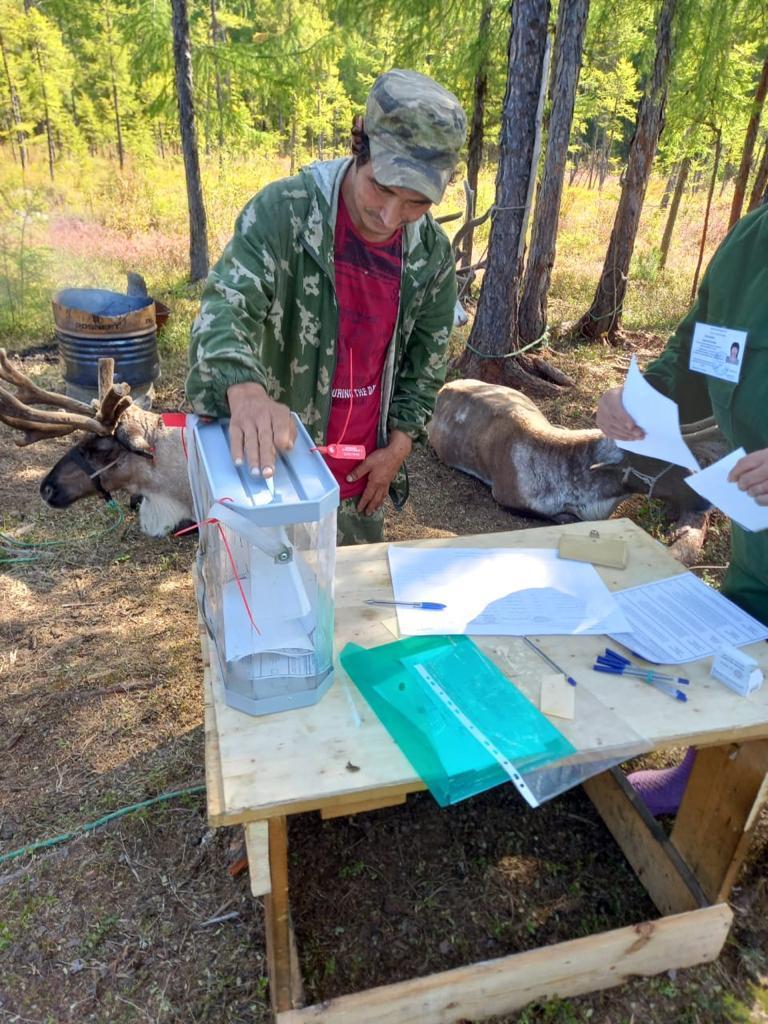 Амуризбирком пересел в лодки ради досрочного голосования