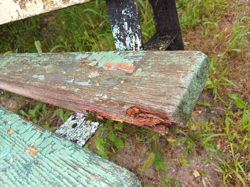 Фото: Амуржилинспекция