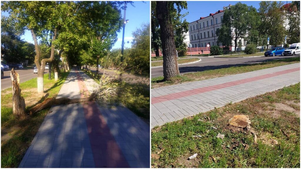 ГСТК приводит Благовещенск в порядок после шалостей ветра