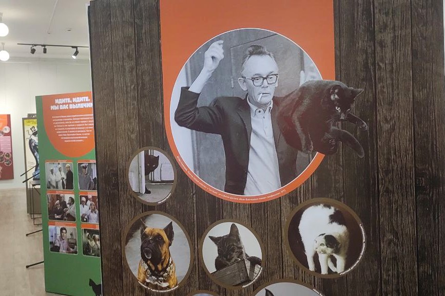 Уникальные кадры со съемок могут увидеть амурские поклонники Леонида Гайдая