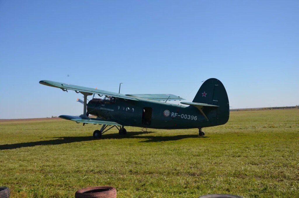 Фото: скриншот видео АОТВ