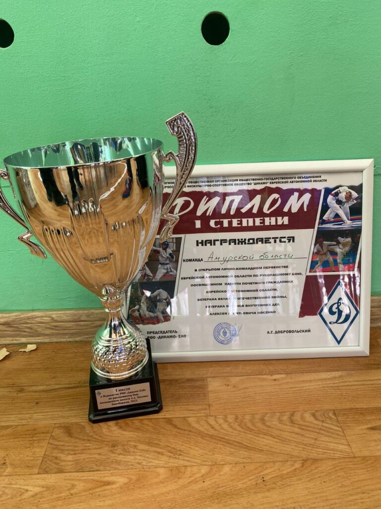 Амурские рукопашники собрали 72 медали на открытом первенстве ЕАО