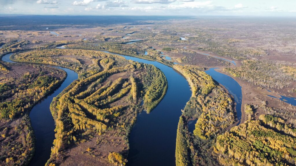 управление по охране животного Амурской области