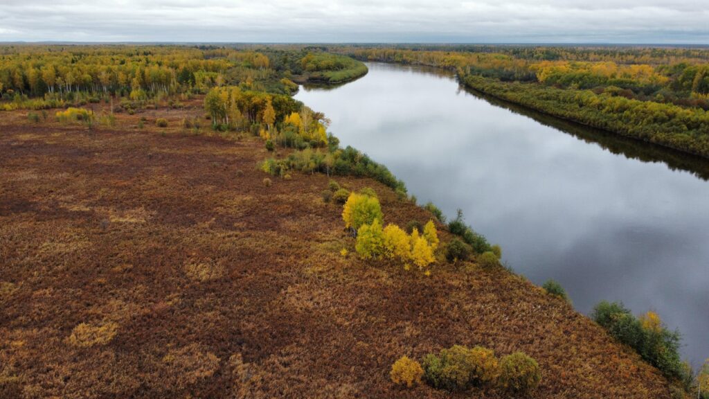 управление по охране животного Амурской области