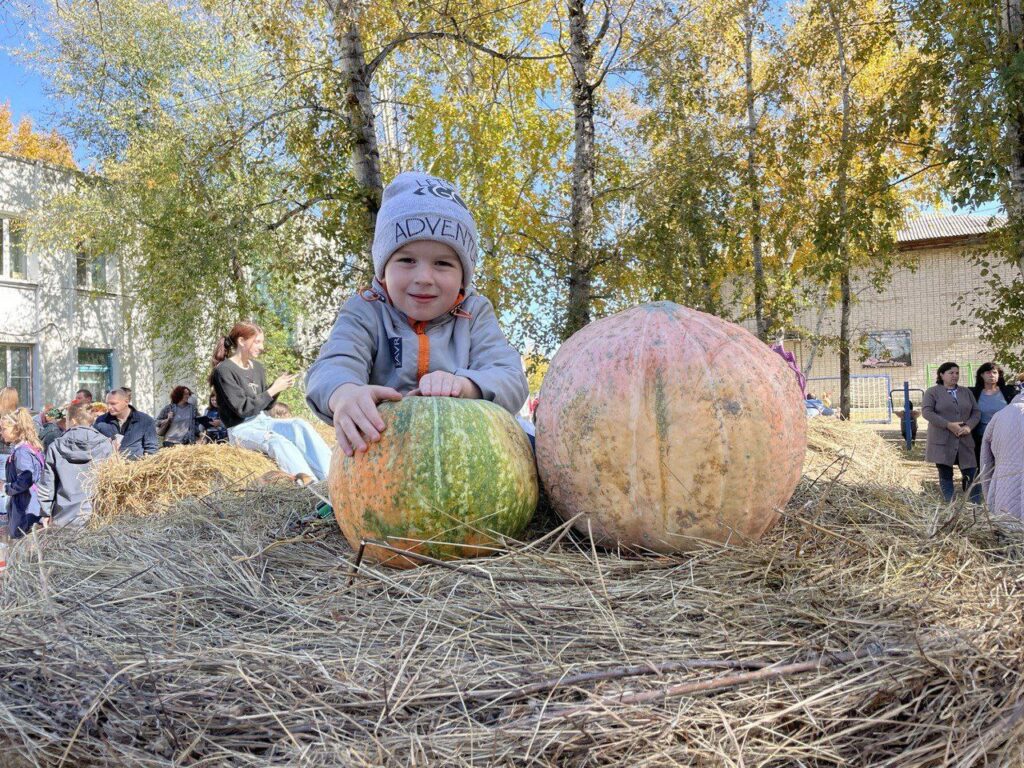 фестиваль тыквы