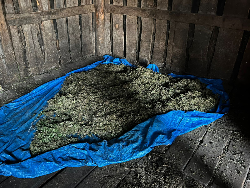 Поучительная история: какие предметы в доме могут стоить амурчанам свободы?