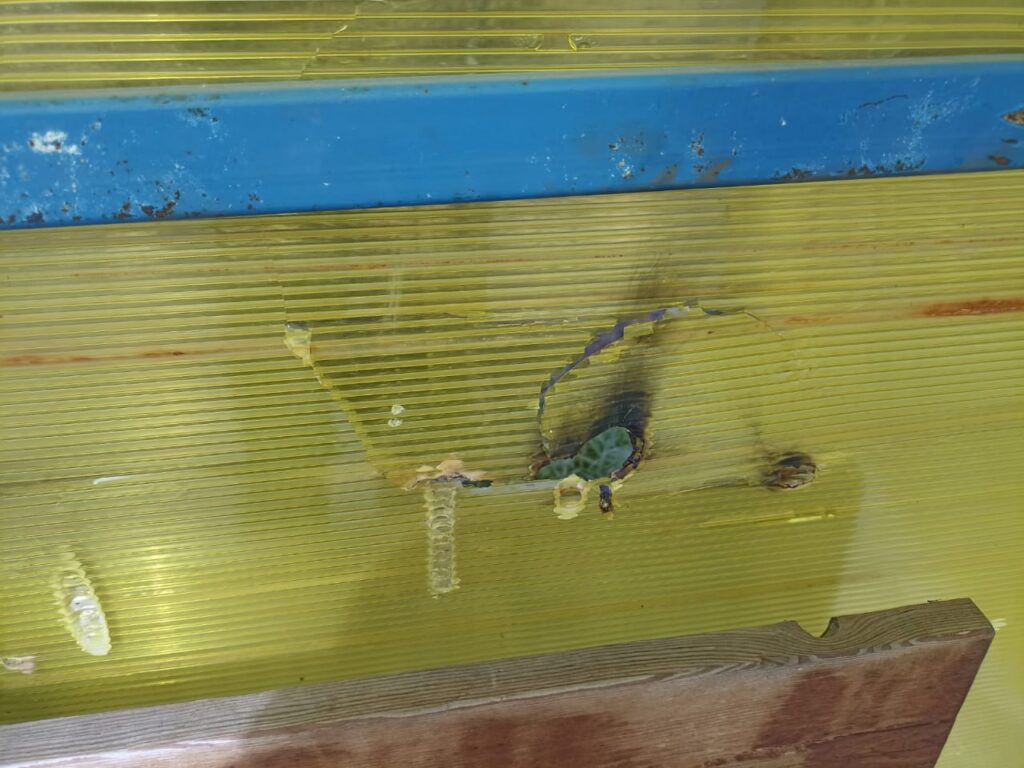 «Это явление не новое»: в амурской Возжаевке поработали вандалы