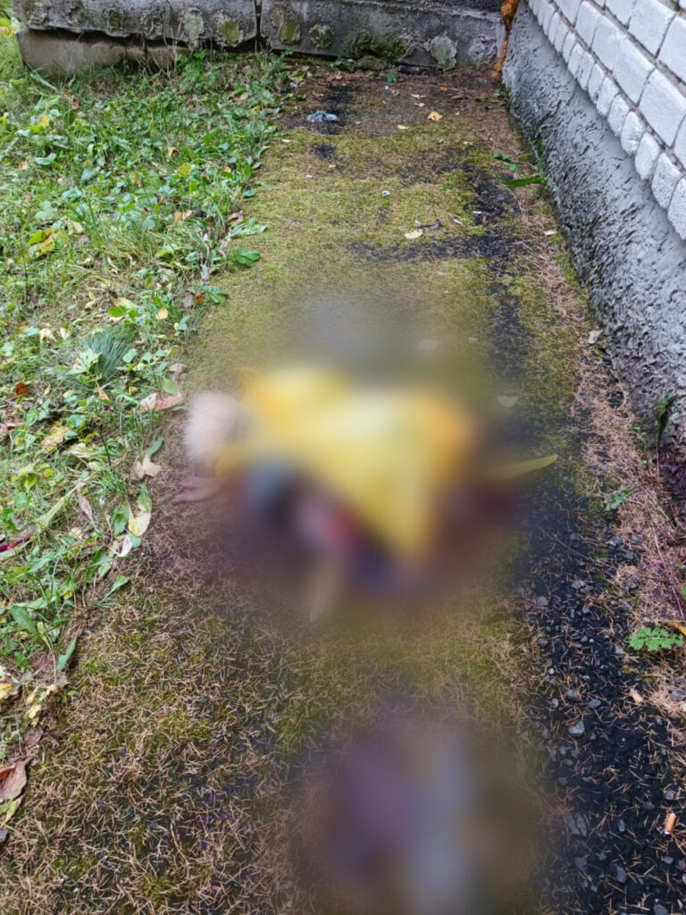 Фото: Амур.инфо