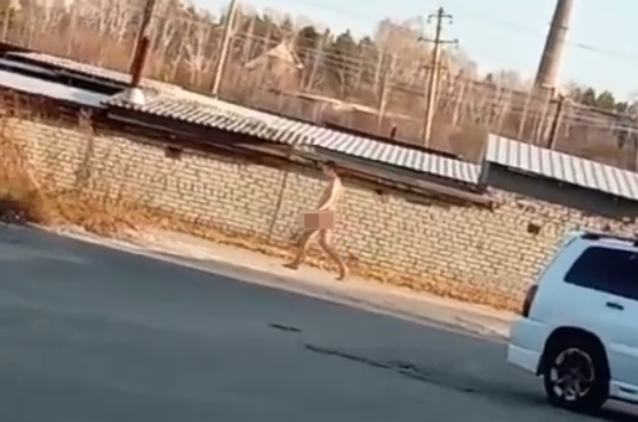 видео из мессенджера (скриншот)