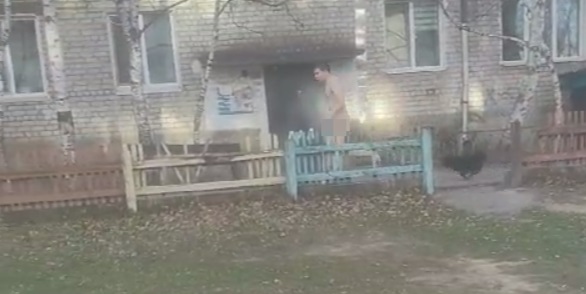 видео из мессенджера (скриншот)