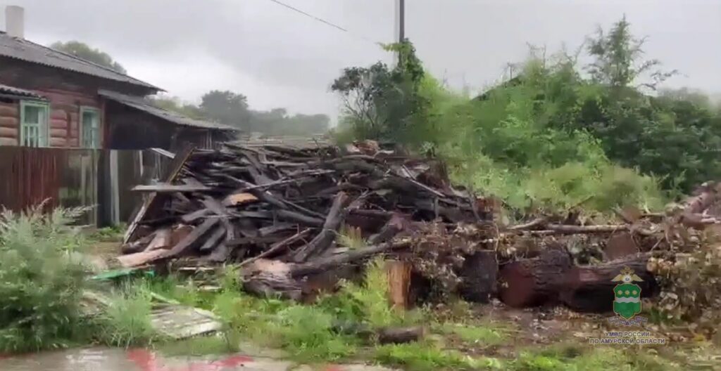 УМВД России по Амурской области (скриншот с видео)