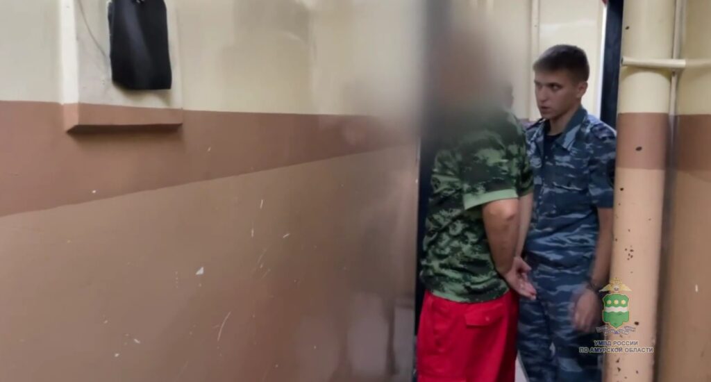 УМВД России по Амурской области (скриншот с видео)