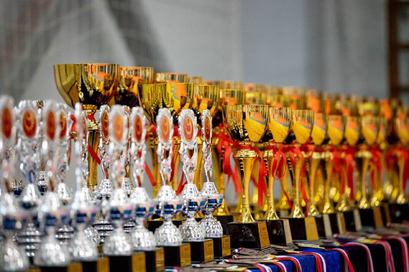 Каратисты из Благовещенска провели соревнования в часть Масутацу Оямы