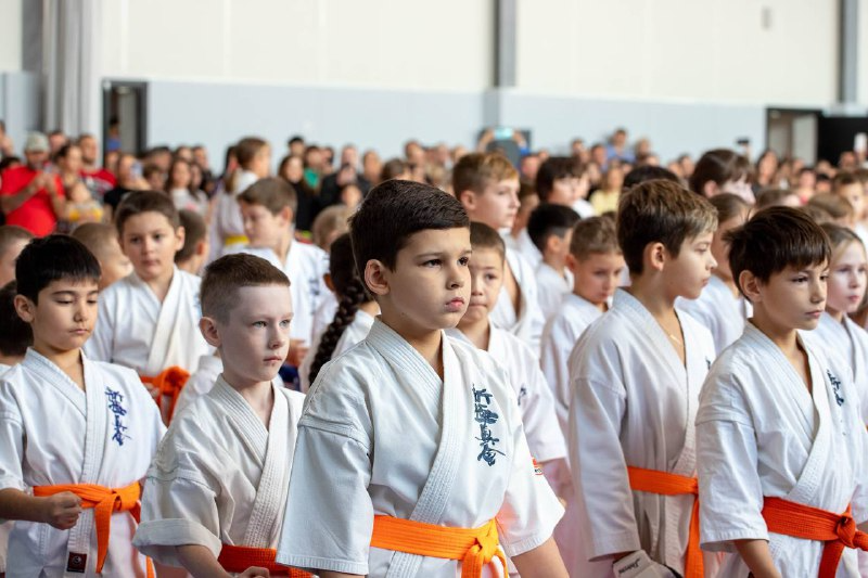 Каратисты из Благовещенска провели соревнования в часть Масутацу Оямы