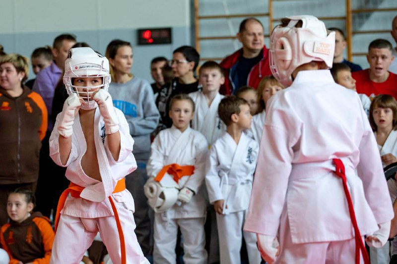 Каратисты из Благовещенска провели соревнования в часть Масутацу Оямы