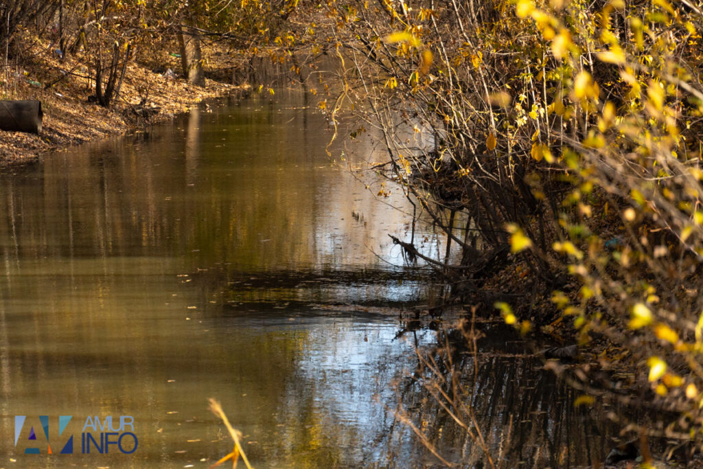 А под ногами не только листья: чем богата благовещенская Бурхановка?