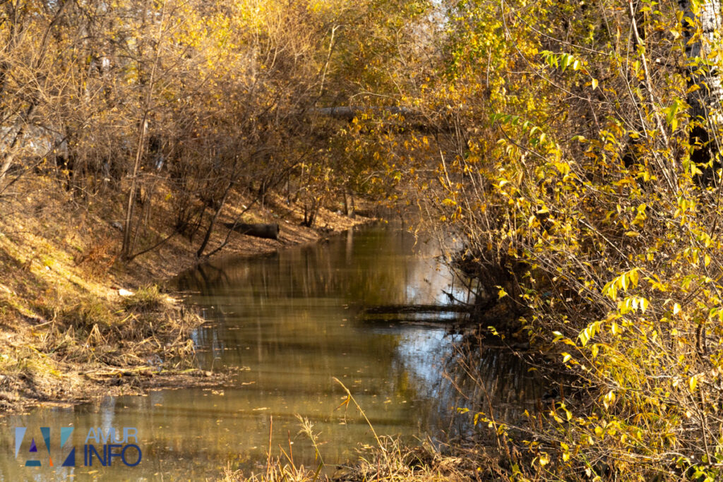 А под ногами не только листья: чем богата благовещенская Бурхановка?