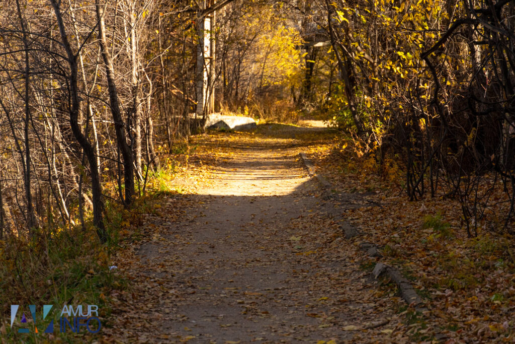 А под ногами не только листья: чем богата благовещенская Бурхановка?