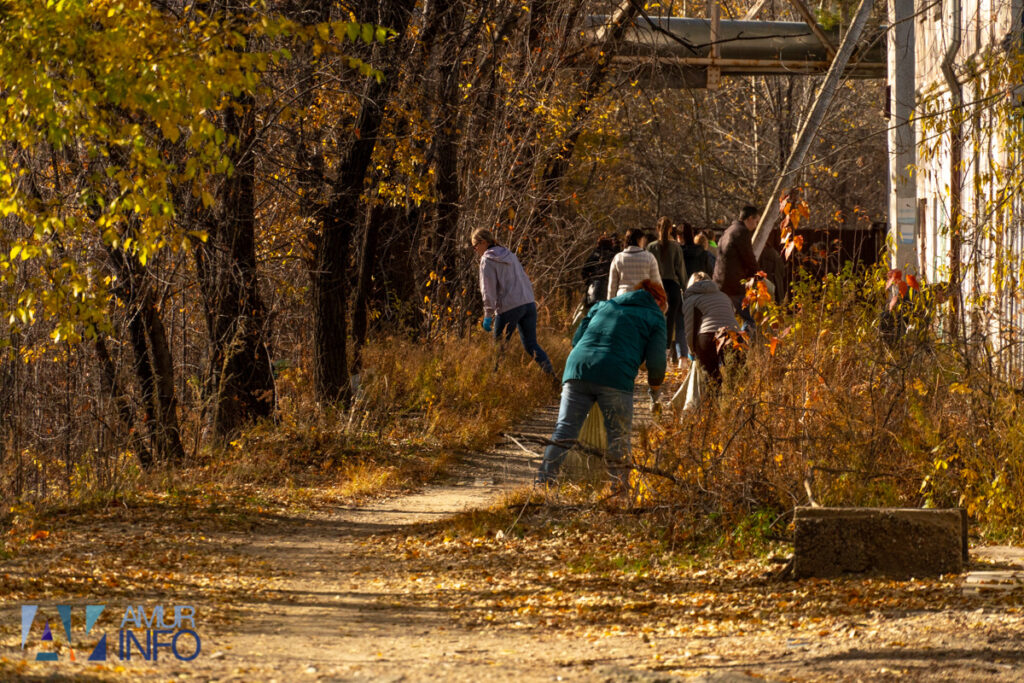 А под ногами не только листья: чем богата благовещенская Бурхановка?