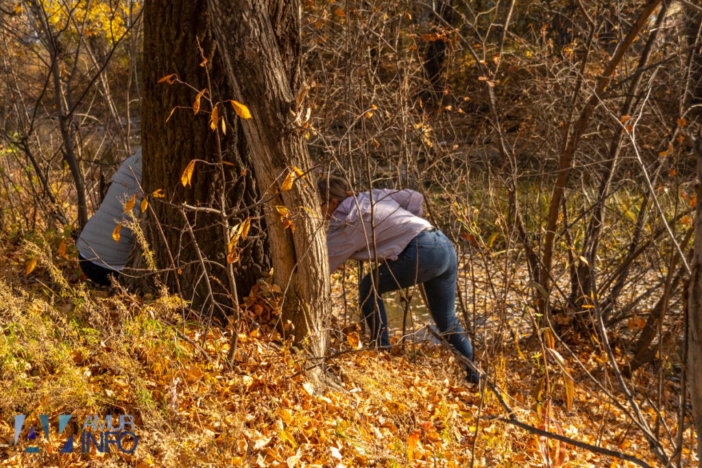 А под ногами не только листья: чем богата благовещенская Бурхановка?