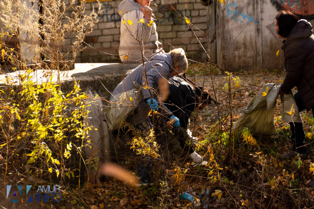 А под ногами не только листья: чем богата благовещенская Бурхановка?