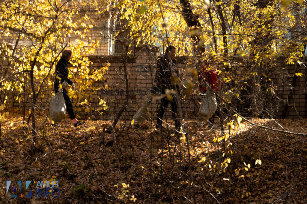А под ногами не только листья: чем богата благовещенская Бурхановка?