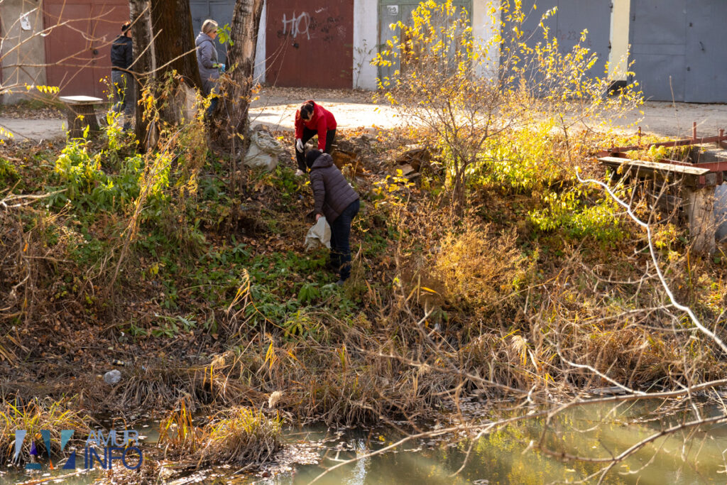 А под ногами не только листья: чем богата благовещенская Бурхановка?