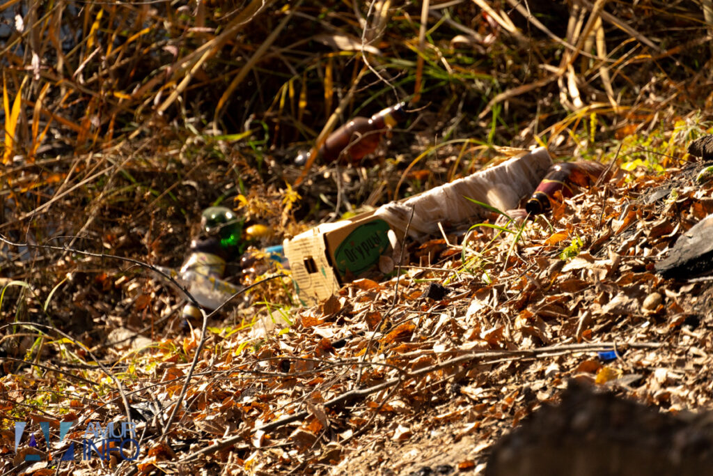 А под ногами не только листья: чем богата благовещенская Бурхановка?
