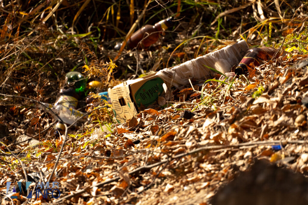 А под ногами не только листья: чем богата благовещенская Бурхановка?