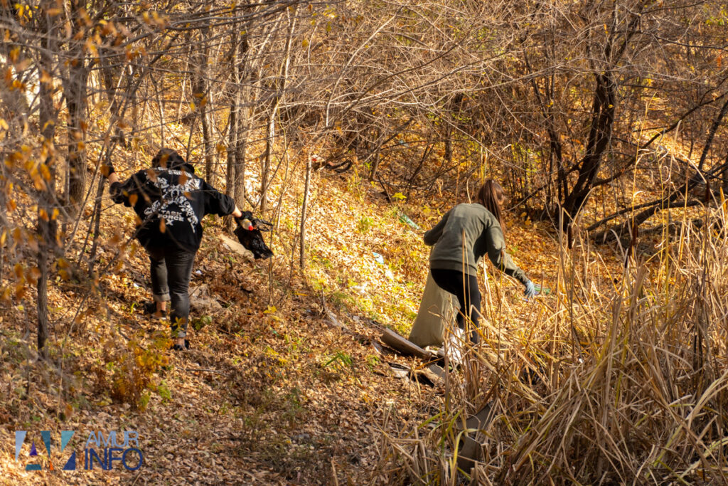 А под ногами не только листья: чем богата благовещенская Бурхановка?