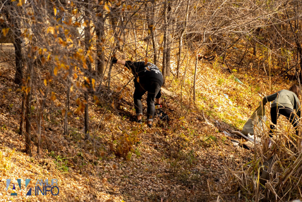 А под ногами не только листья: чем богата благовещенская Бурхановка?