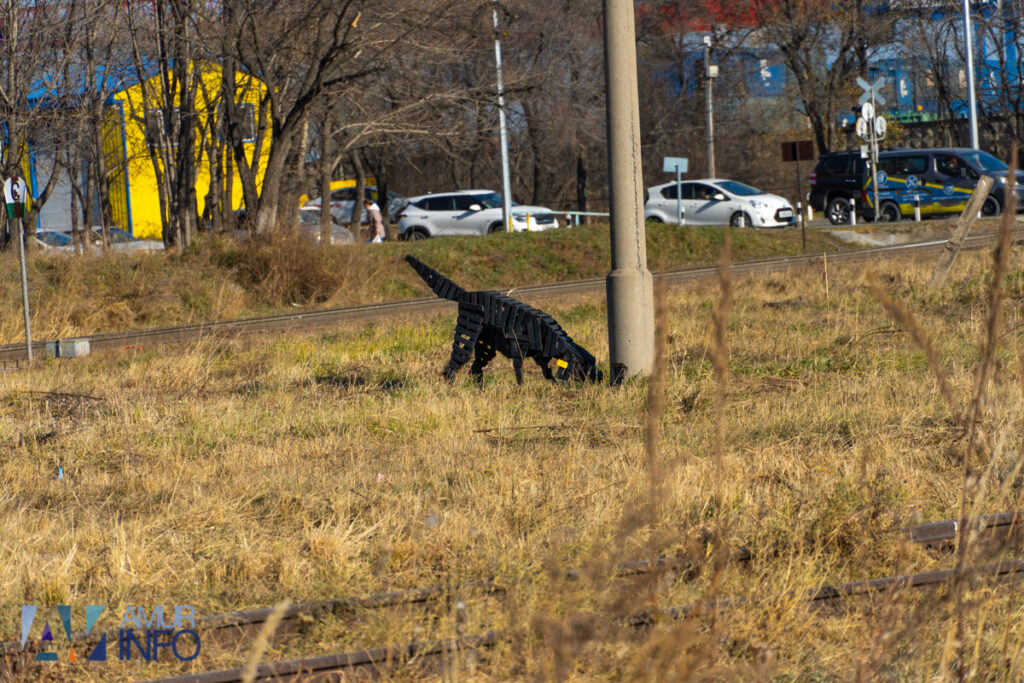 Тринадцать псов окружили огромную черную собаку: необычную стаю заметили у благовещенского ТЦ