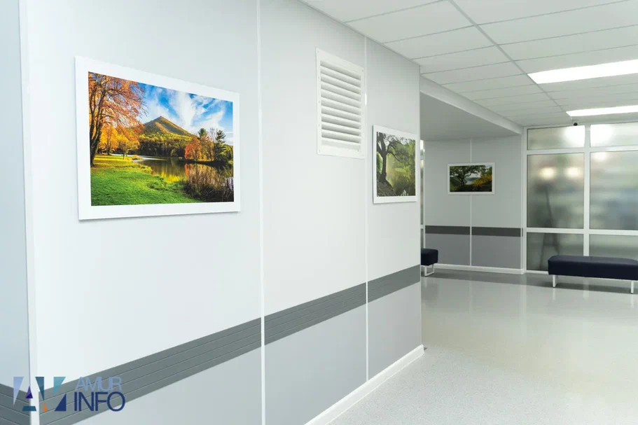 В Амурской областной клинической больнице показали отремонтированные отделения