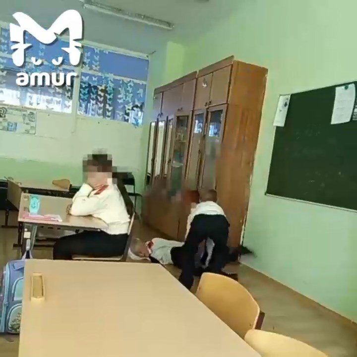 Давно терроризирует всех: в поселковой школе Хабаровского края завелся бойцовый третьеклассник