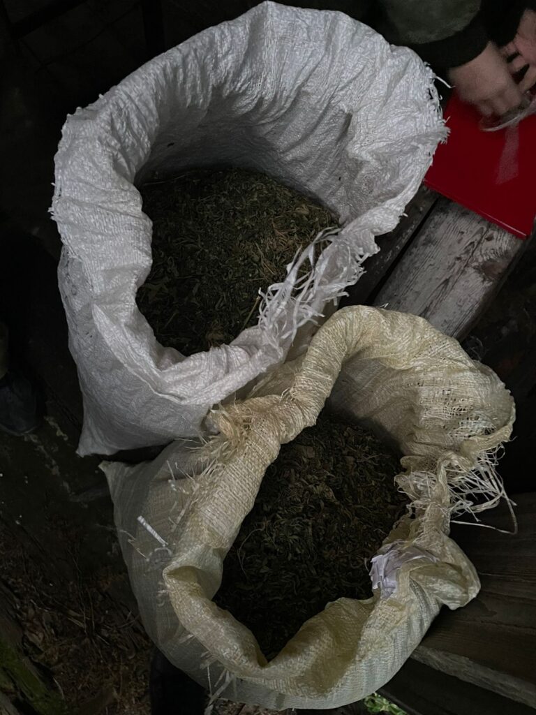 Амурчанин устроил на ферме нарколабораторию