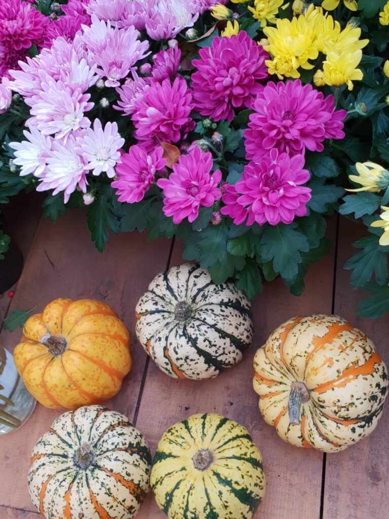 тыква, осенние овощи