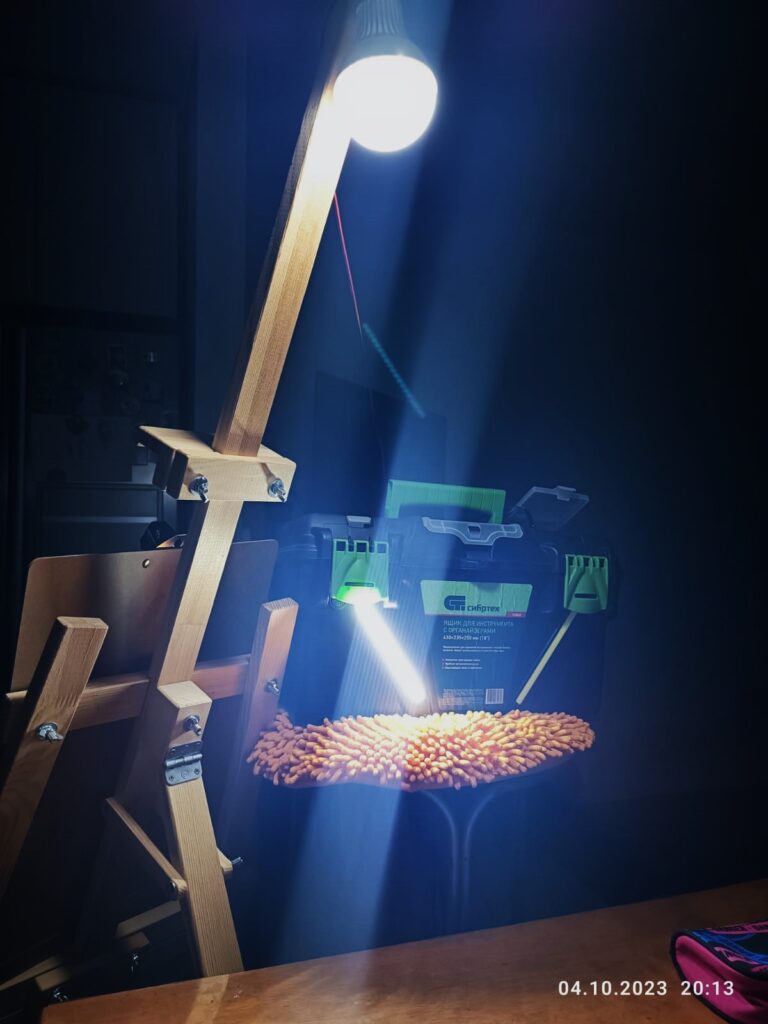 Благовещенцы: почему микрорайон Тайвань поглощает тьма?