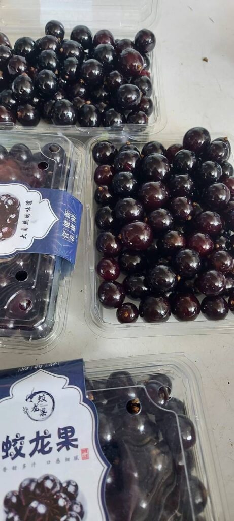 Управление Россельхознадзора по Амурской области и Республике Саха (Якутия), джаботикаба