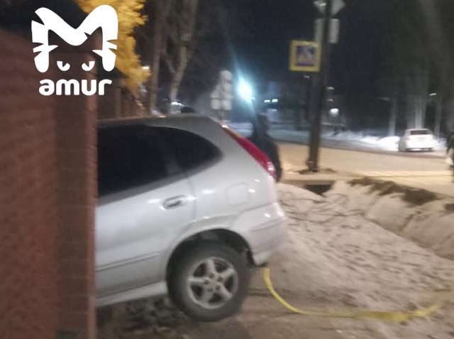 Фото: скриншот видео Amur Mash