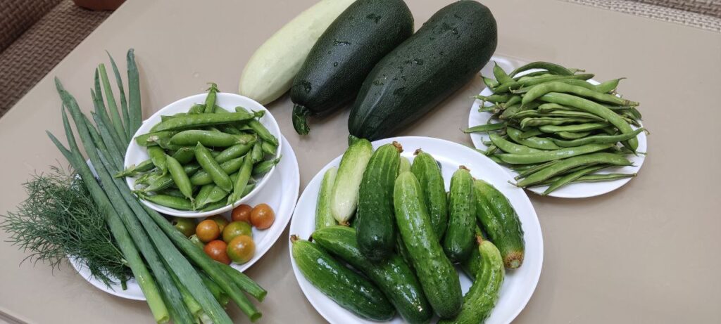 овощи, зелень, вегетарианство