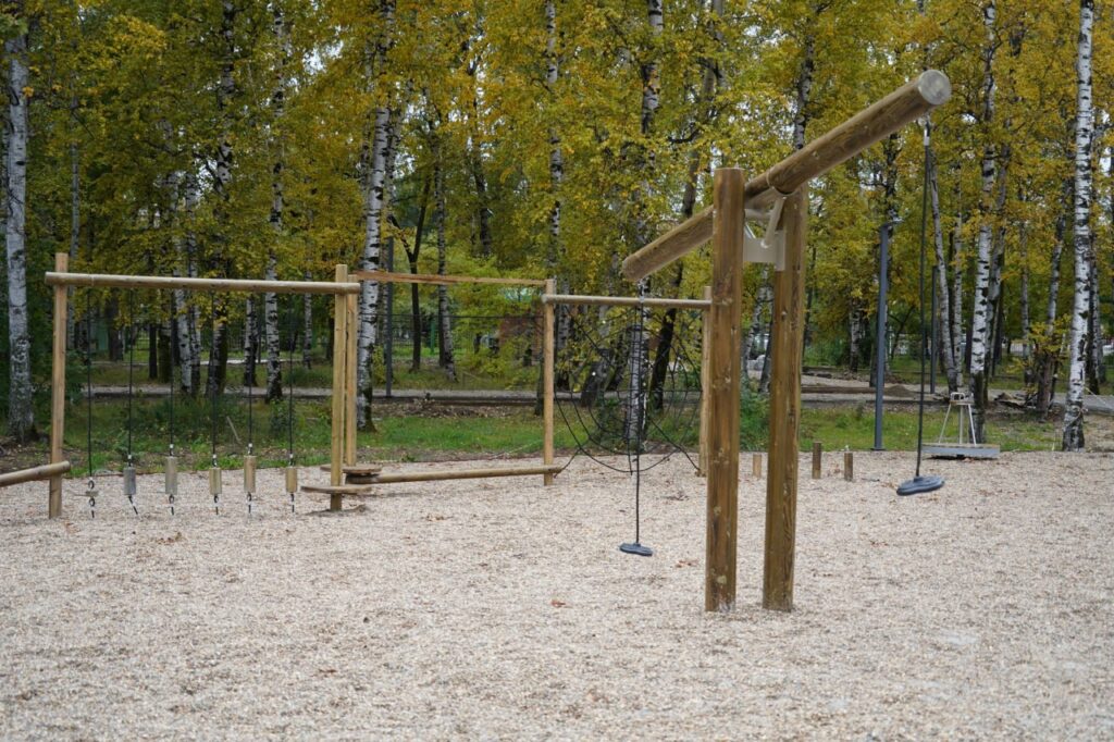 правительство Амурской области