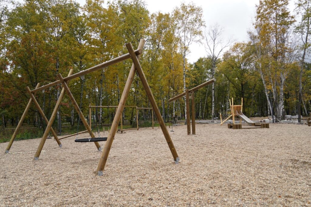 правительство Амурской области