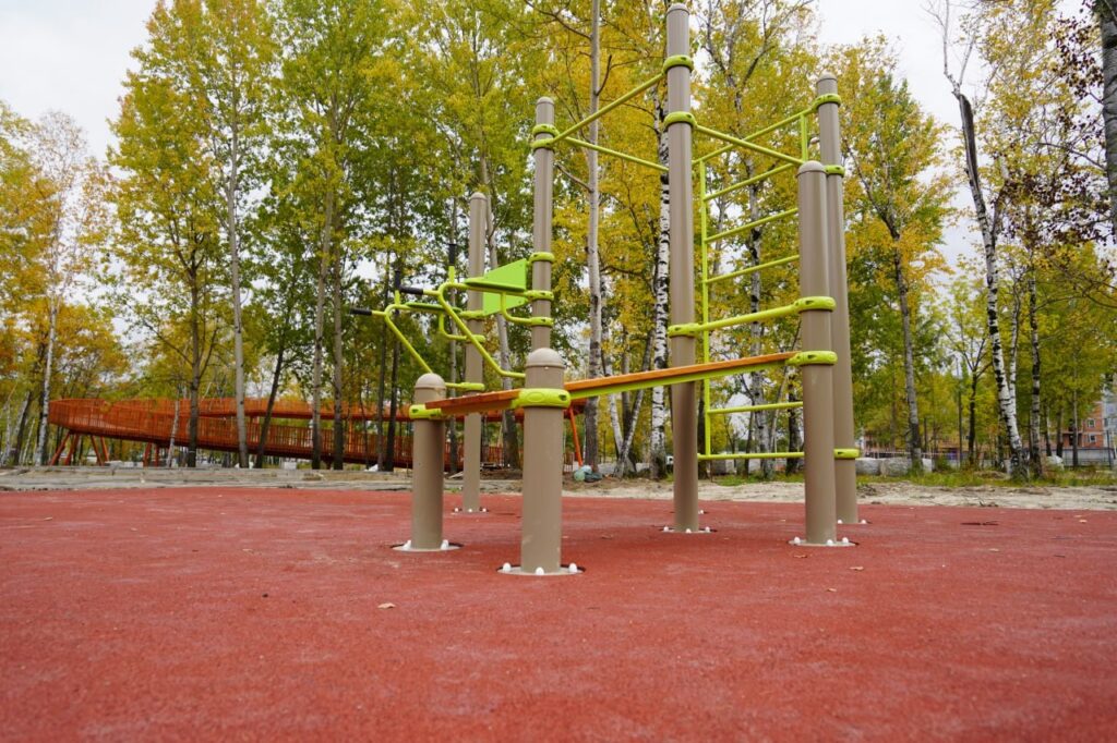 правительство Амурской области